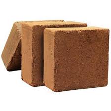 Coir Pith Blocks